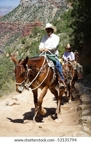 GRAND CANYON, AZ - JULY 27: A mule guide takes visitors on a tour up the popular Bright Angel Trail July 27, 2008 in Grand Canyon, AZ.