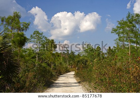 Florida, Trail, Big Cypress National Preserve, Florida Everglades