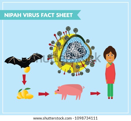 nipah virus (niv) infection is a newly emerging zoonosis that causes severe disease in both animals and humans