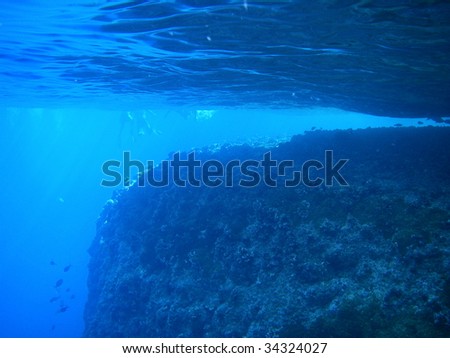 The underwater world of the red sea
