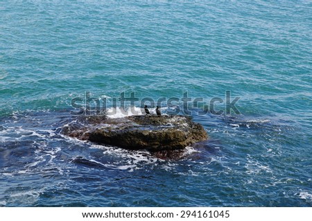 Sea  waves background with top view of  tiny rocky isle, sticking out of water with cormorants, local soft focus, shallow DOF.