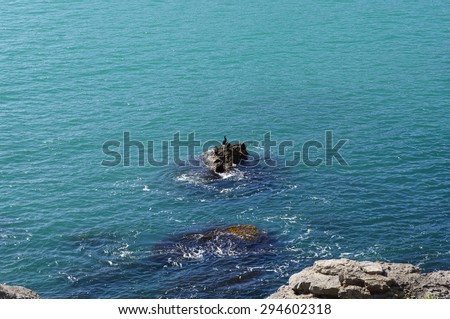 Sea waves  background with top view of  tiny rocky isle, sticking out of water with cormorants, local soft focus, shallow DOF.