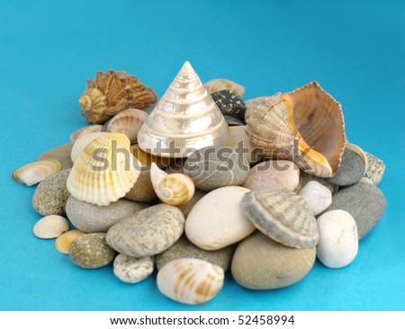 sea shells and stones collection on blue