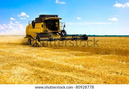 A Wheat