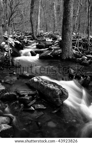 Black and white image of a wooded creek in the winter.