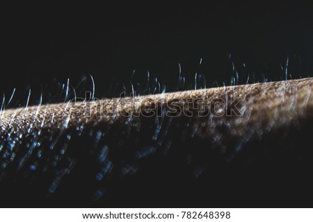 Arm hair of human beings. It reflects the light and shadow.