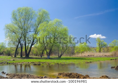 Ukrainian rural landscape in spring season.