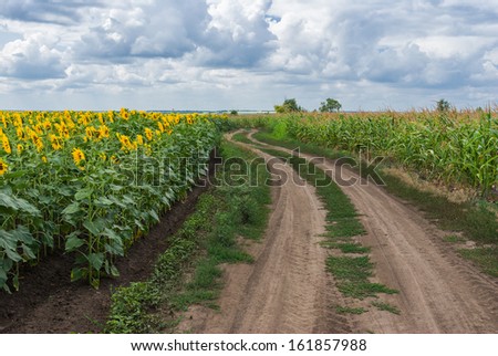 Central Ukrainian rural landscape at summer season