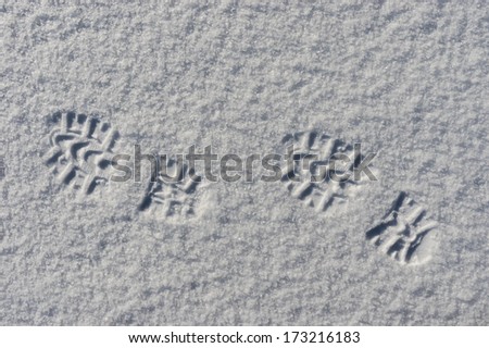 High contrast image of footsteps in snow
