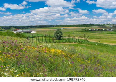 Ukrainian rural landscape at summer season