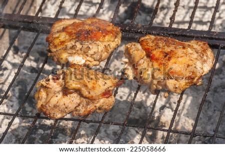 Chicken meat on the barbecue