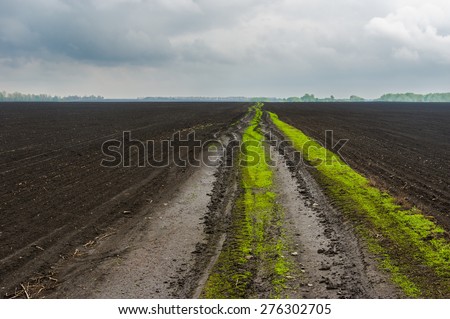 Classic Ukrainian agricultural landscape at spring season