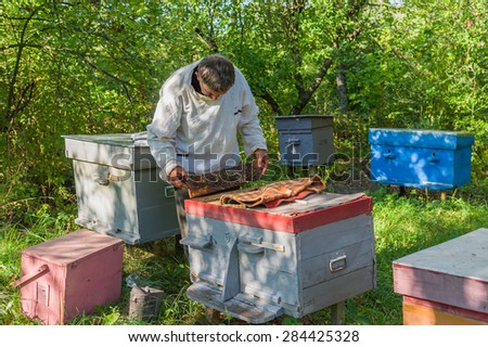 Ukrainian bee-keeper at work doing examination of his bee families