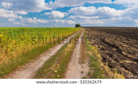 Ukrainian agricultural landscape with dirty road among fields at fall season