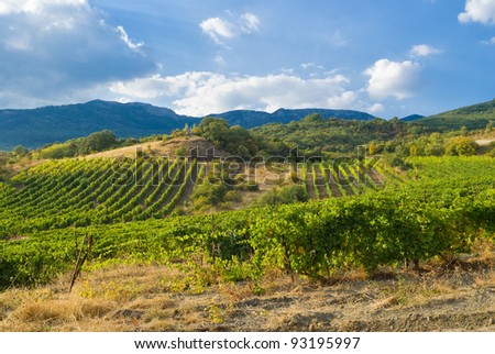 Mountains, vineyard and cloudy sky - typical Crimean landscape at fall season.