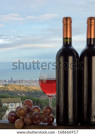 Wine and grapes with Barcelona and the Mediterranean sea on the background