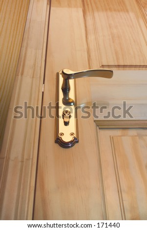 Nice and elegant wooden door with bronze handle.
