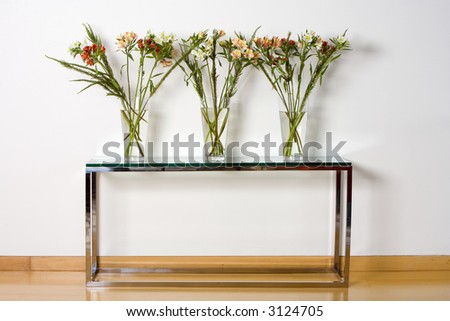 Three glass vases with plants standing over a modern metal and glass table