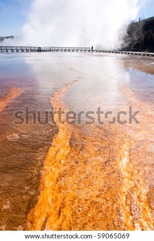 Colourful golden pool of bacteria in a volcanic run-off section of Yellowstone