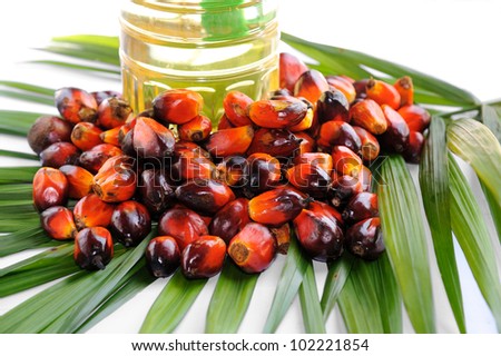 Palm oil, it is widely acknowledged as a versatile and nutritious vegetable oil, trans fat free with a rich content of vitamins and antioxidants. Palm oil is used in billions of products...