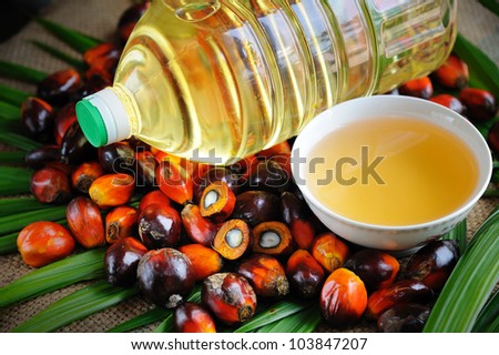 Close up of Palm Oil fruits and Cooking Oil.