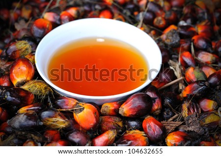 Close up of Palm Oil fruits and Cooking Oil, selective focus.
