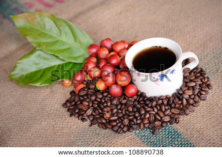Close up of coffee cup and fresh raw coffee beans with leaf on texture background, selective focus.