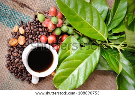 Close up of coffee cup and fresh raw coffee beans with leaf on texture background, selective focus.