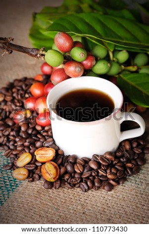 Close up of coffee and fresh raw coffee beans with leaf on texture background, selective focus.