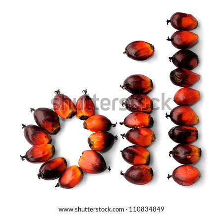Word oil made from fresh palm oil seeds isolated on white background, selective focus.