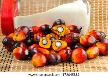 Close up of fresh oil palm fruits and coffee cream, selective focus.