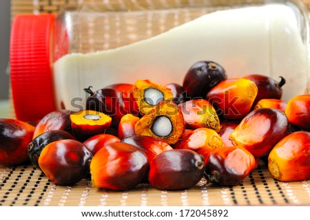 Close up of fresh oil palm fruits and coffee cream, selective focus.