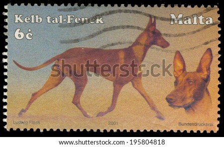 MALTA - CIRCA 2001: A stamp printed in Malta shows image of dog (Kelb tal-Fenek), circa 2001