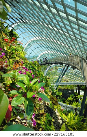 SINGAPORE - OCTOBER 25: Cloud Forest at Gardens by the Bay on October 25, 2014 in Singapore. Spanning 101 hectares of reclaimed land in central Singapore, adjacent to Marina Reservoir.