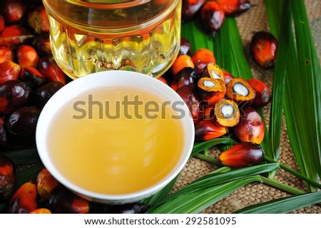 Close up of fresh oil palm fruits, selective focus.