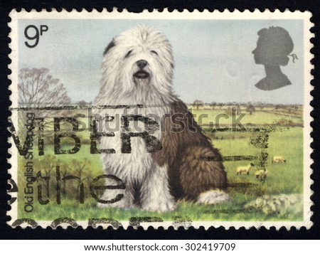 UNITED KINGDOM - CIRCA 1978: A stamp printed in the United Kingdom shows Old English Sheepdog, series, circa 1978