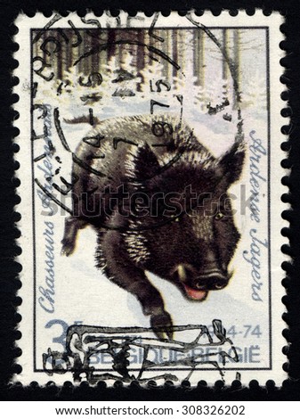 BELGIUM - CIRCA 1975: A stamp printed in Belgium  shows Wild Boar, circa 1975