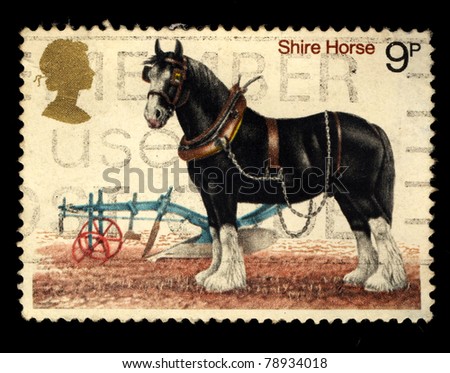 UNITED KINGDOM - CIRCA 1978: A stamp printed in United Kingdom shows image of shire horse, circa 1978