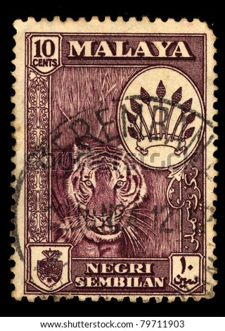 MALAYA - CIRCA 1946: A stamp printed in Malaya shows image of a tiger, series, circa 1946