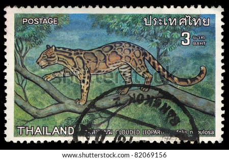 THAILAND -CIRCA 1975: A stamp printed in Thailand shows image of leopard (Clouded Leopard Neofelis nebulosa), circa 1975