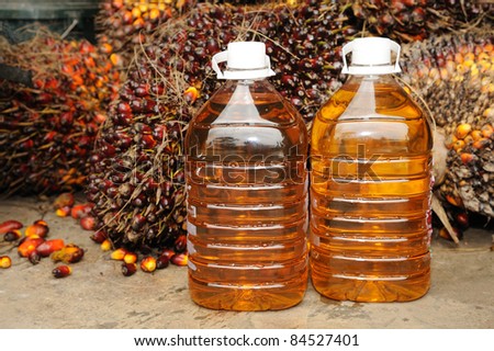 Cooking Oil  and Palm Oil fruits