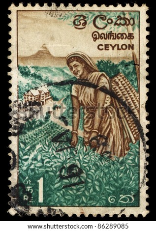 CEYLON - CIRCA 1964: A stamp printed in the Ceylon shows image of a woman plucking tea,  circa 1964