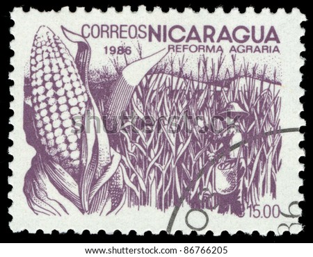 NICARAGUA - CIRCA 1986: A stamp printed in Nicaragua shows Corn and farmer, circa 1986