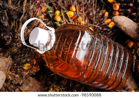 Palm oil, Today it is widely acknowledged as a versatile and nutritious vegetable oil, trans fat free with a rich content of vitamins and antioxidants. Palm oil is used in billions of productsÃ¢Â?Â¦