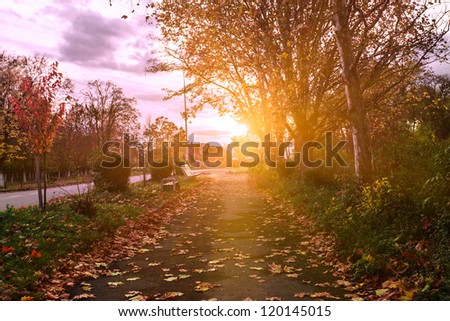 Autumn park\'s path in evening glow aftter rain