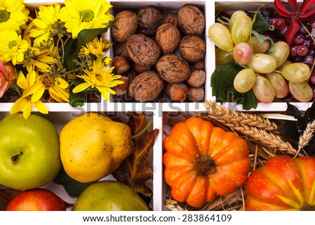 Autumn in a box - fruits, berries, nuts, flowers, corn and pumpkins