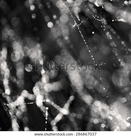Abstract background from morning dew on a spider web. Nature inspiration. Bokeh background for overlaying
