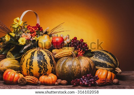 Autumn harvest of vegetables and flowers on the table. The composition of pumpins, corn, grapes, pears and apples.