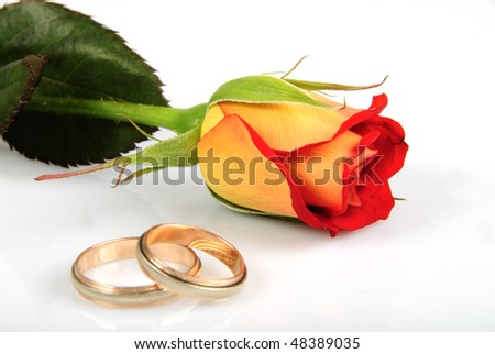 stock photo Rose and rings isolated on white background Wedding postcard