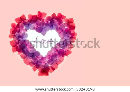Pink flower background in shape of heart close up. With clipping path \
